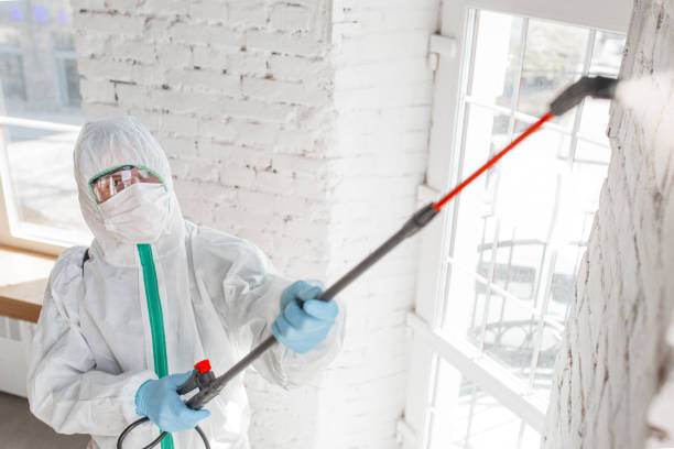 Professional Mold Removal in Yellow Springs, OH